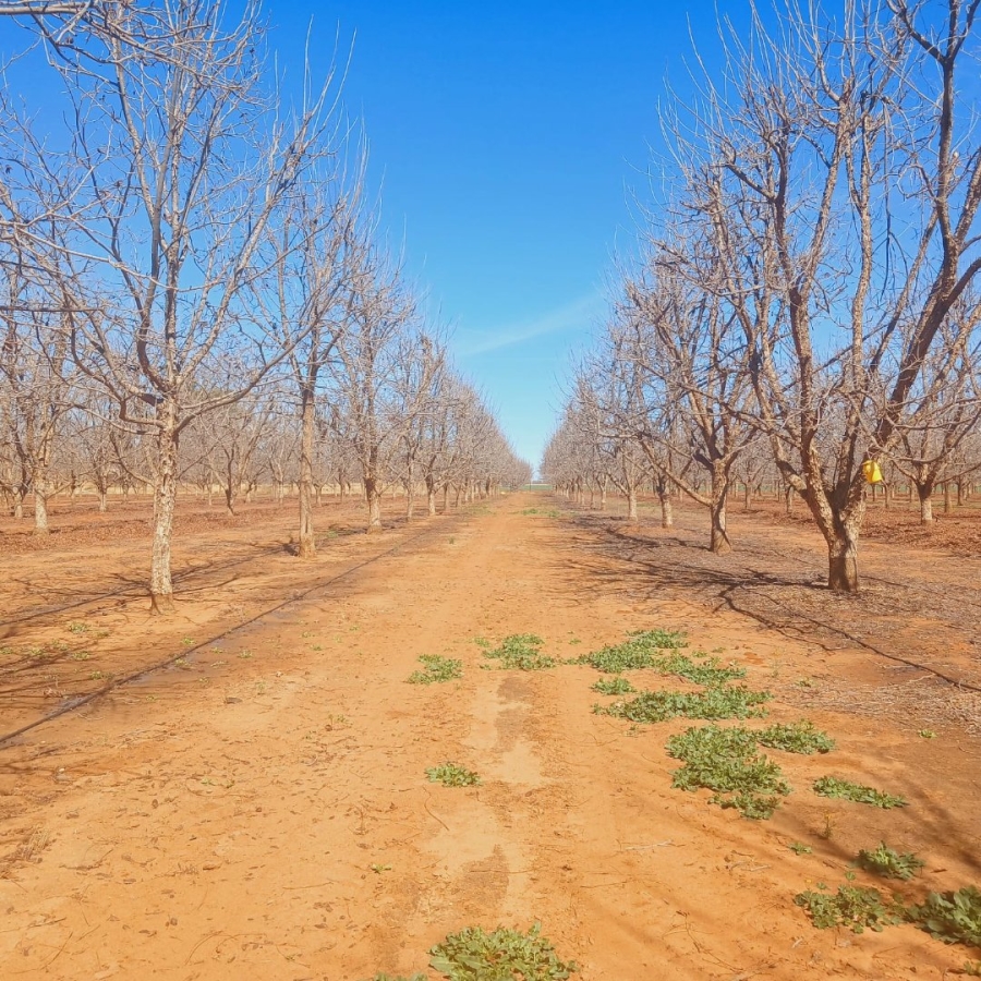 Bedroom Property for Sale in Hartswater Rural Northern Cape